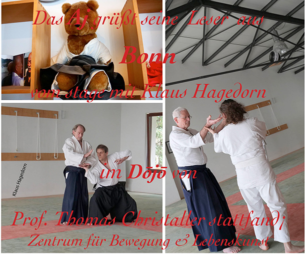 Aikido Journal