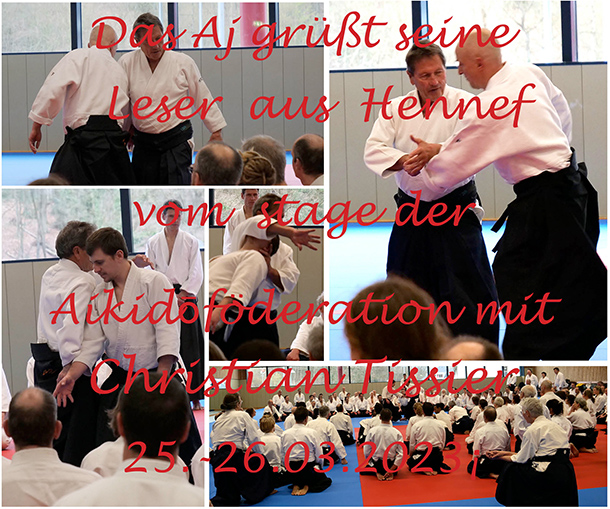 Aikido Journal